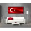 TÜRK BAYARAĞI KANVAS TABLO