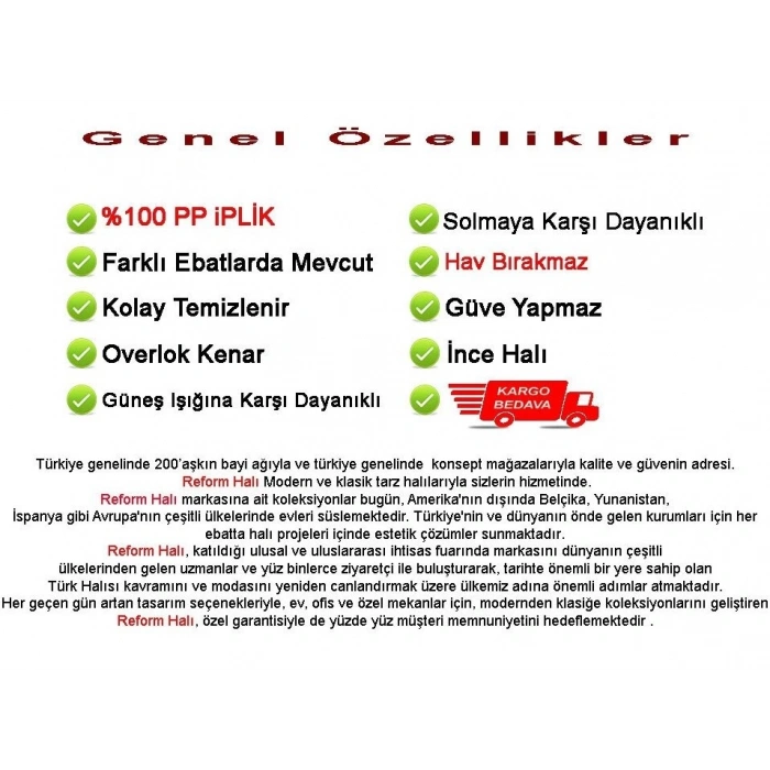 Seyran Halı İndia 670 Bej 80x150