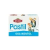 Otacı Oka Mentol Pastil 16lı