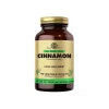 Solgar Cinnamon 100 Kapsül