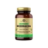 Solgar Echinacea 520 mg 100 Kapsül