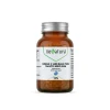 Venatura Omega-3 1600 mg 30 Kapsül