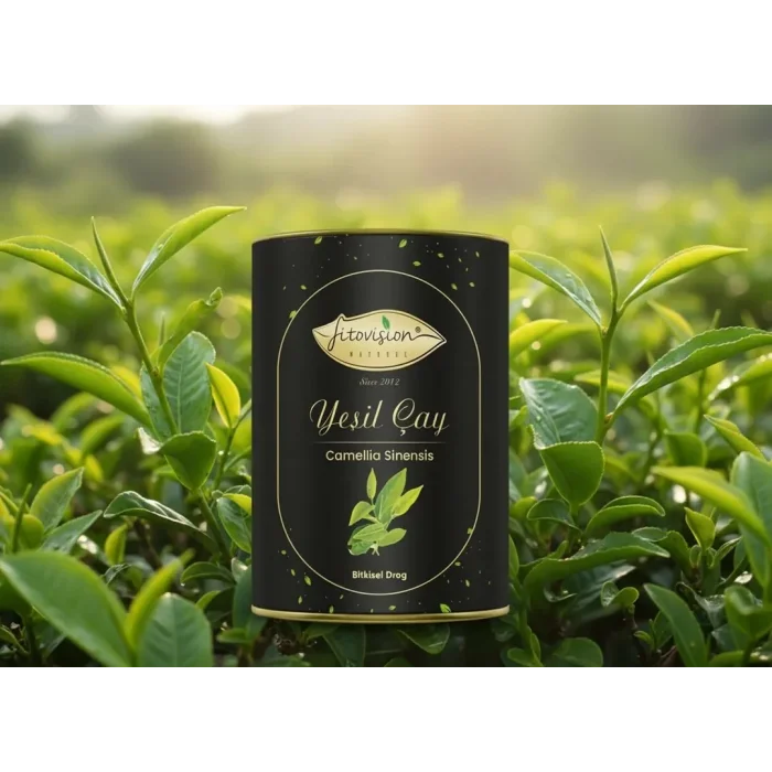 Fitovision Yeşil Çay (Camellia Sinensis) Drog