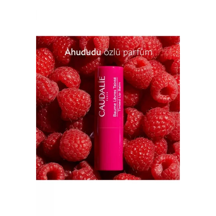 Caudalie Vinotherapist Renkli Dudak Nemlendiricisi 4.5 gr