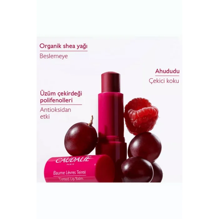 Caudalie Vinotherapist Renkli Dudak Nemlendiricisi 4.5 gr