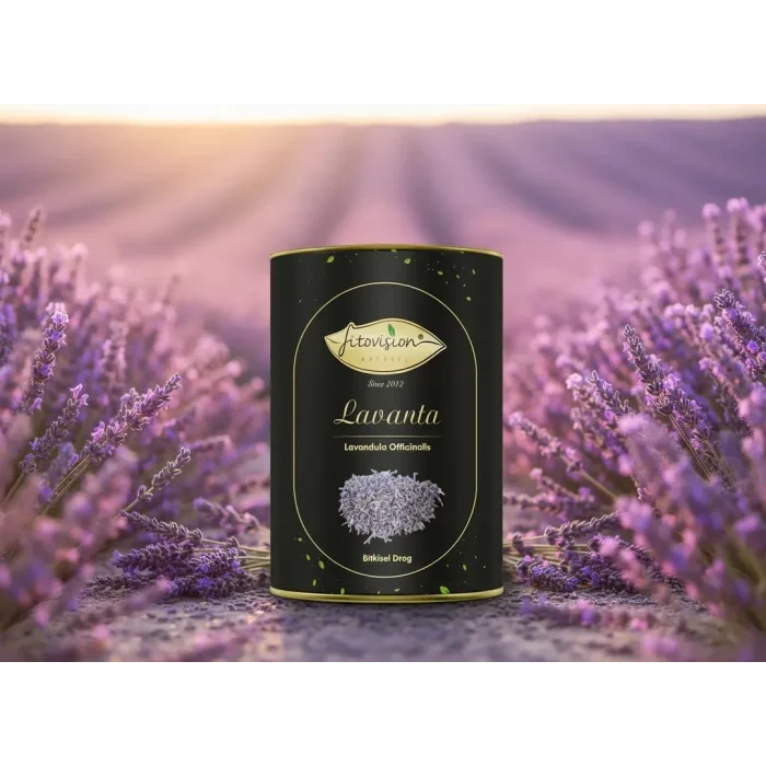 Fitovision Lavanta (Lavandula Officinalis) Bitkisel Drog
