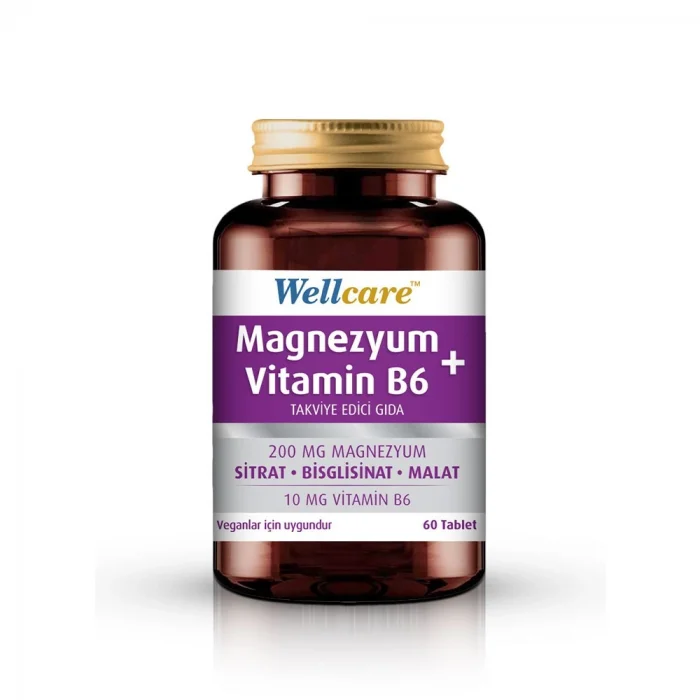 Wellcare Magnezyum + Vitamin B6 60 Tablet