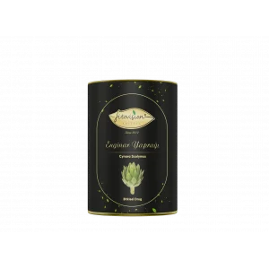 Fitovision Enginar (Cynara Scolymus) Yaprağı Bitkisel Drog
