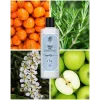 Rebul Ice EDC Kolonya 250 ml Cam Şişe
