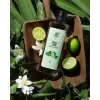 Rebul Lime EDC Kolonya 250 ml Cam Şişe