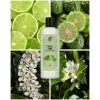 Rebul Lime EDC Kolonya 250 ml Cam Şişe