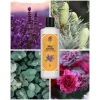 Rebul Lavanda EDC Kolonya 250 ml Cam Şişe