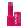 Caudalie Vinotherapist Renkli Dudak Nemlendiricisi 4.5 gr