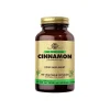 Solgar Cinnamon 100 Kapsül