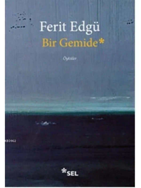 Bir Gemide