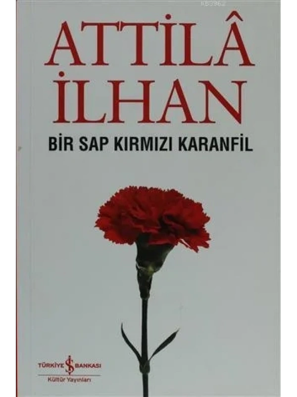 Bir Sap Kırmızı Karanfil Cumhuriyet Söyleşileri (Eylül 96 - Mart 97)