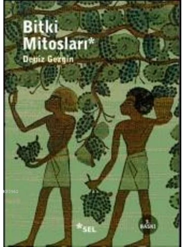 Bitki Mitosları