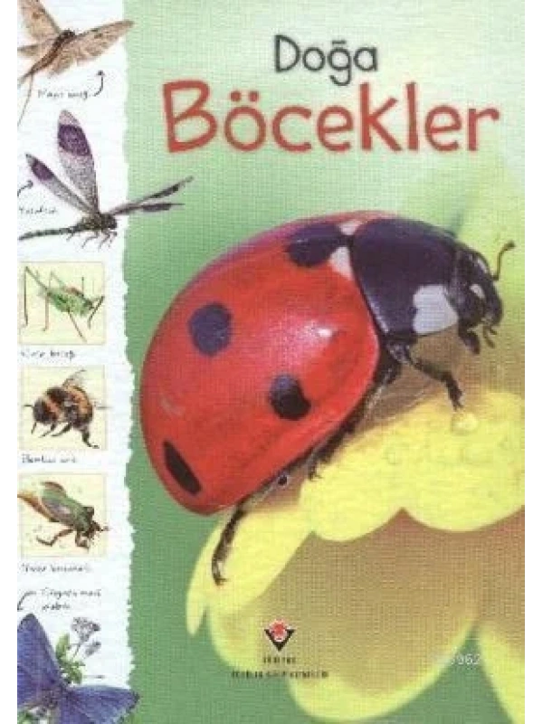Doğa - Böcekler
