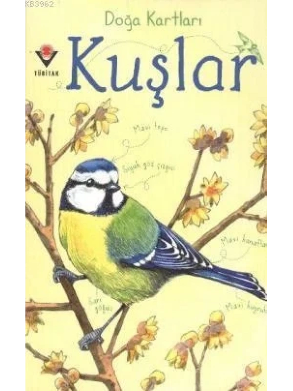 Doğa Kartları - Kuşlar