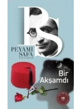 Bir Akşamdı