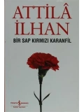 Bir Sap Kırmızı Karanfil Cumhuriyet Söyleşileri (Eylül 96 - Mart 97)