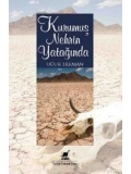 Kurumuş Nehrin Yatağında