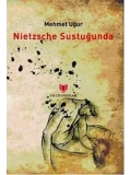 Nietzsche Sustuğunda