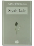 Siyah Lale