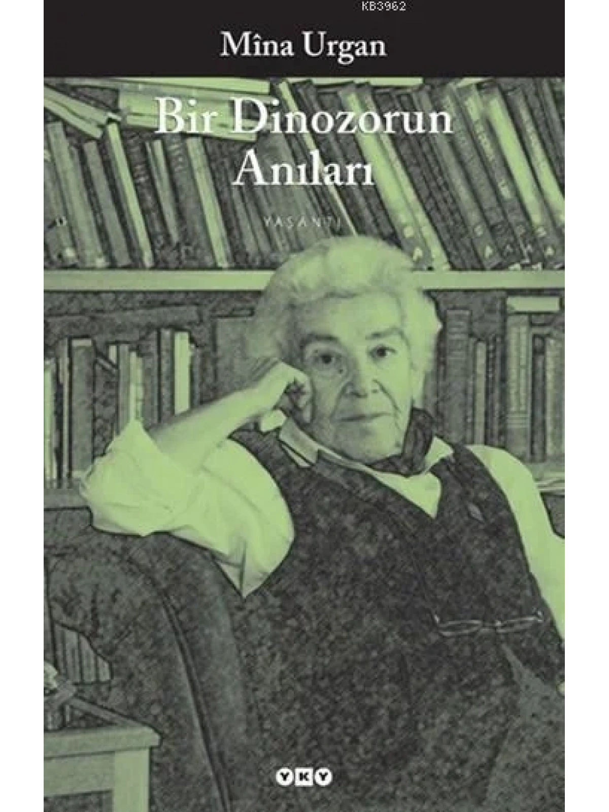 Bir Dinozorun Anıları