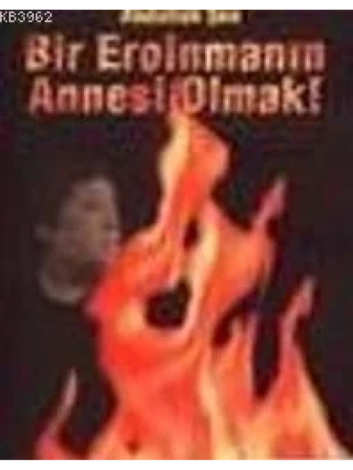 Bir Eroinmanın Annesi Olmak