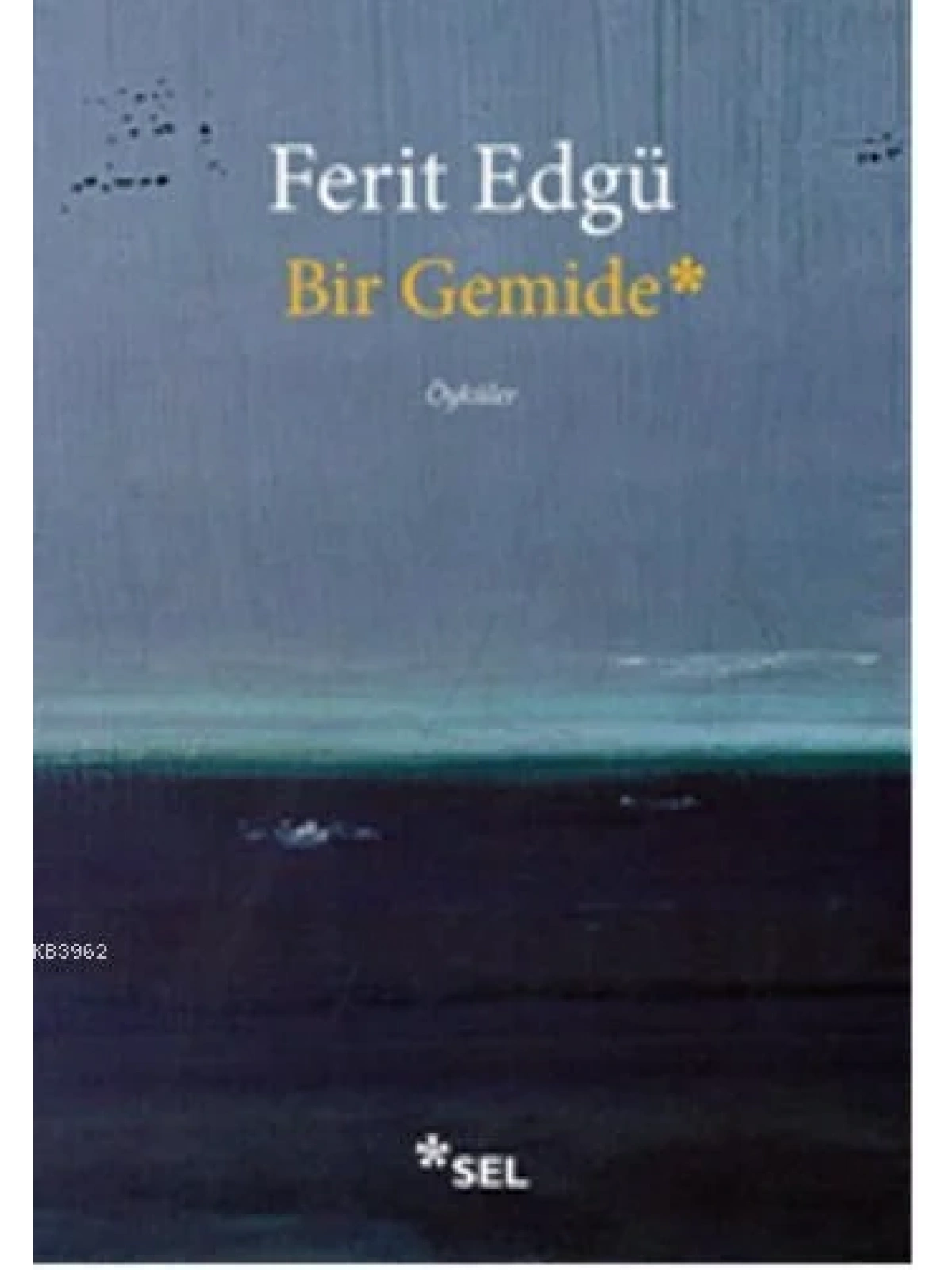 Bir Gemide