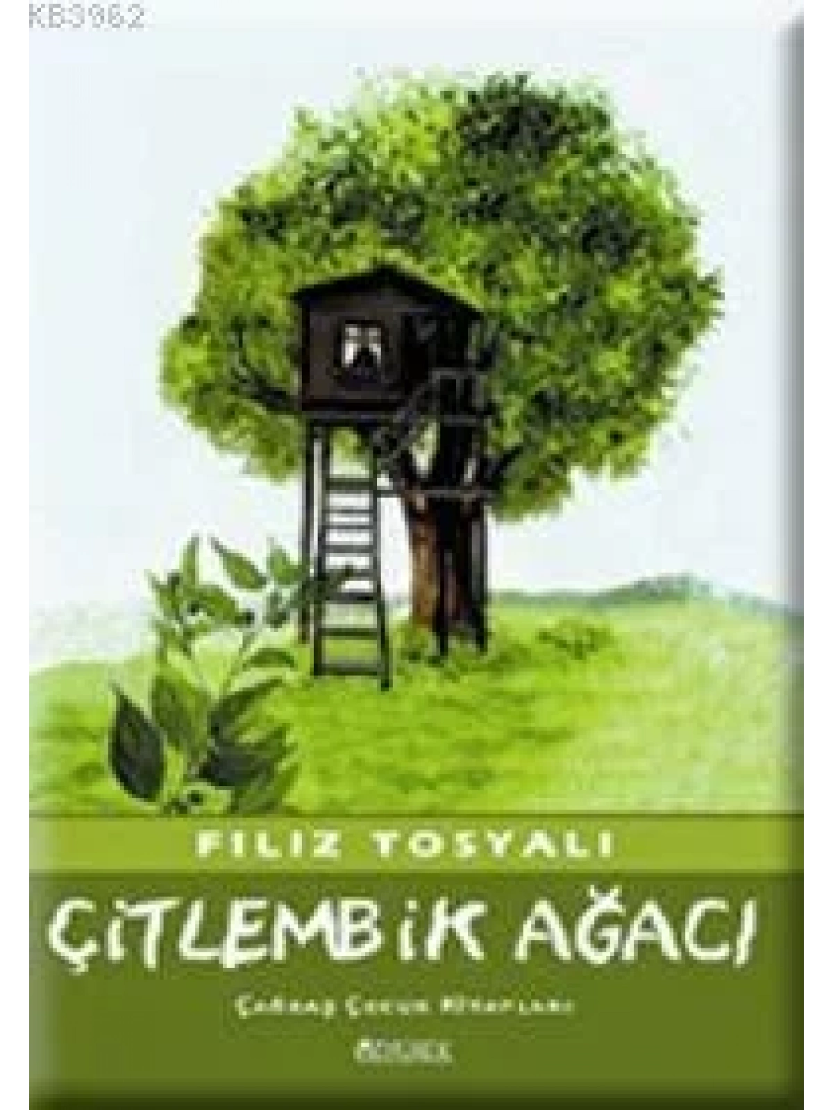 Çitlembik Ağacı