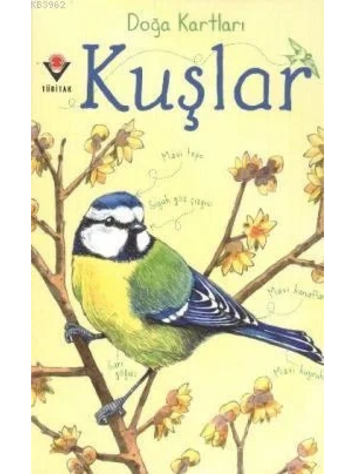 Doğa Kartları - Kuşlar