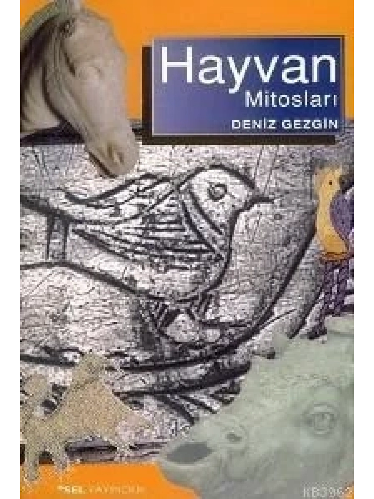 Hayvan Mitosları