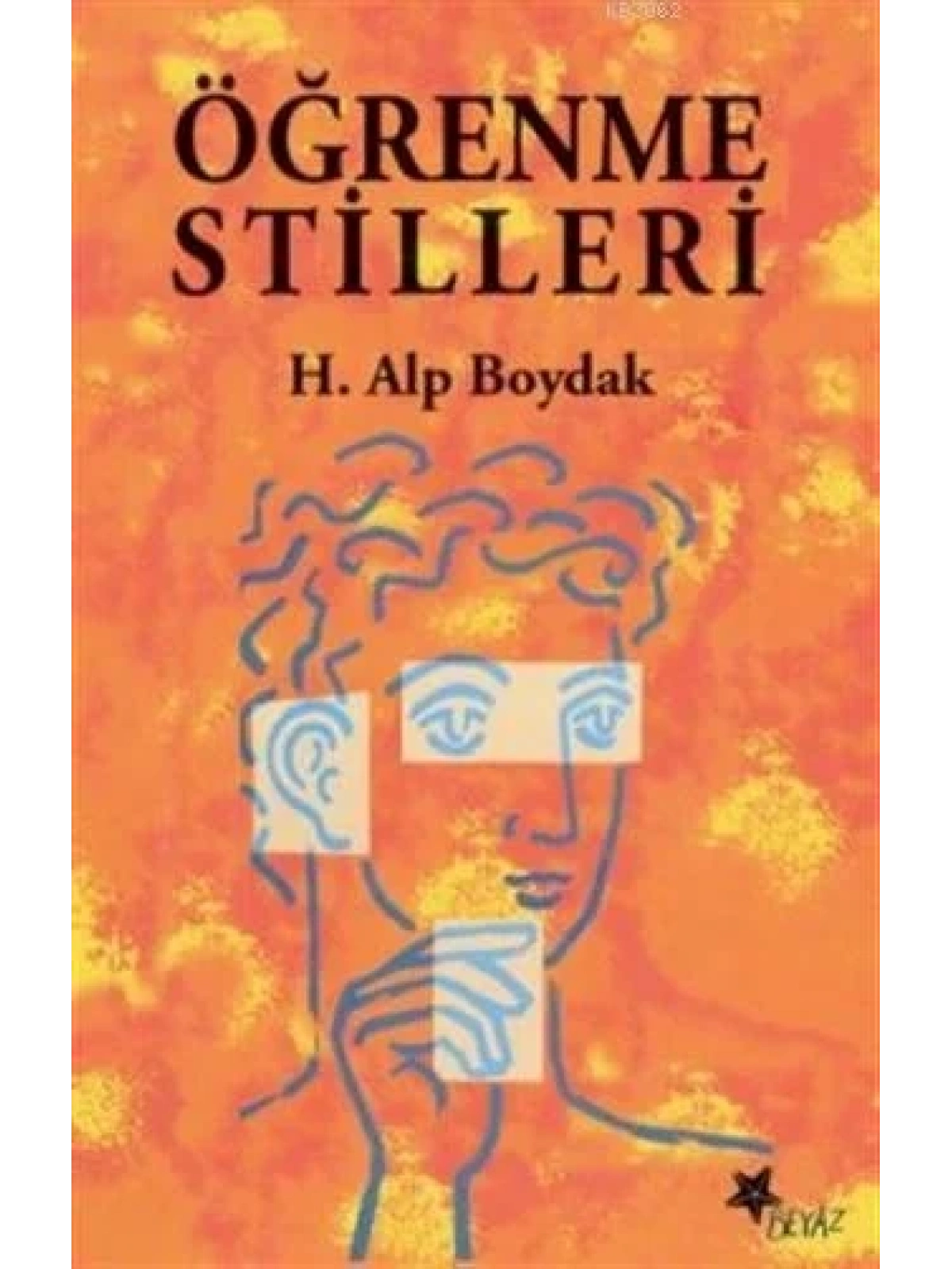 Öğrenme Stilleri