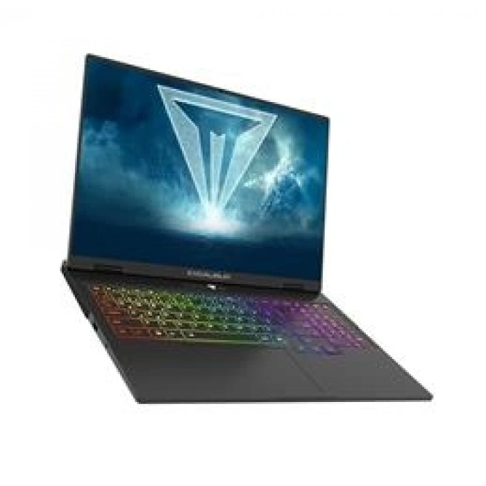 Casper Excalibur G915.1362-BQ70X-C i7 13620H 24GB 1TB 8GB RTX5070 165Hz 16 FreeDOS Notebook