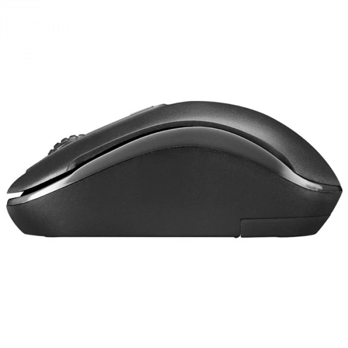 Everest SM-804 Usb Siyah 1600dpi Kablosuz Mouse