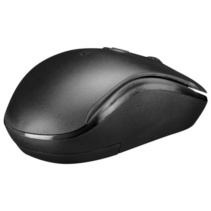 Everest SM-804 Usb Siyah 1600dpi Kablosuz Mouse