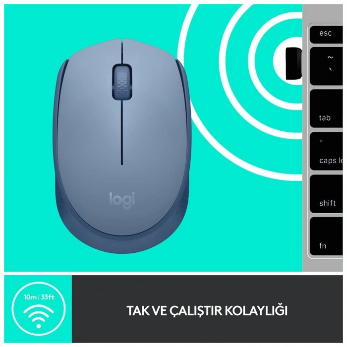 LOGITECH 910-006866, M171 BlueGrey, USB Nano 2,4G Kablosuz, 1000dpi, Optik, 3 Tuşlu, 12ay Pil Ömrü, Mouse