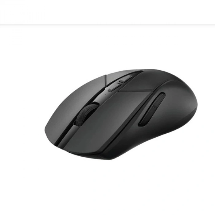 RAPOO V300SE Kablolu/Kablosuz 1200dpi Siyah Mouse (12401)