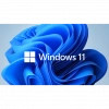 Microsoft Windows 11 Pro FQC-10556 64 Bit (OEM) Türkçe