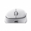 PHILIPS SPK9418W, EVNIA, Beyaz, USB Nano 2,4Gh ve Bluetooth Kablosuz, 12.000dpi, Optic, 6 Programlanabilir Buton, Şarj Edilebilir, GAMING Mouse