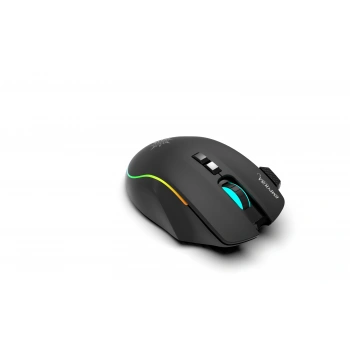 INCA IMG-GT22 Kablosuz + Bluetooth Siyah Gaming Mouse