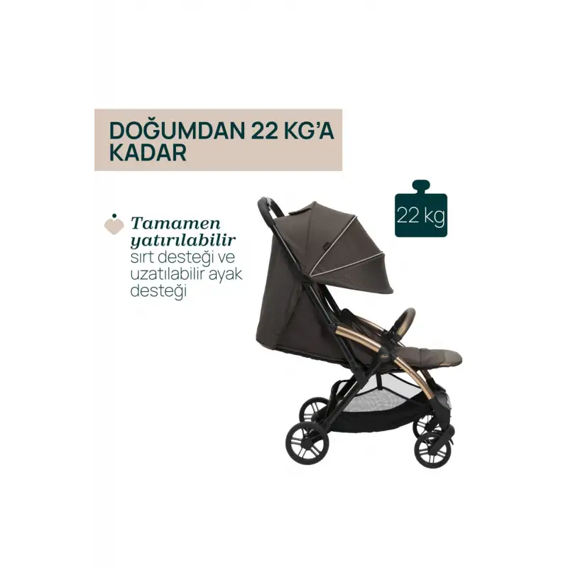 Chicco Goody Xplus Bebek Arabası Bronze Lızard Re_lux