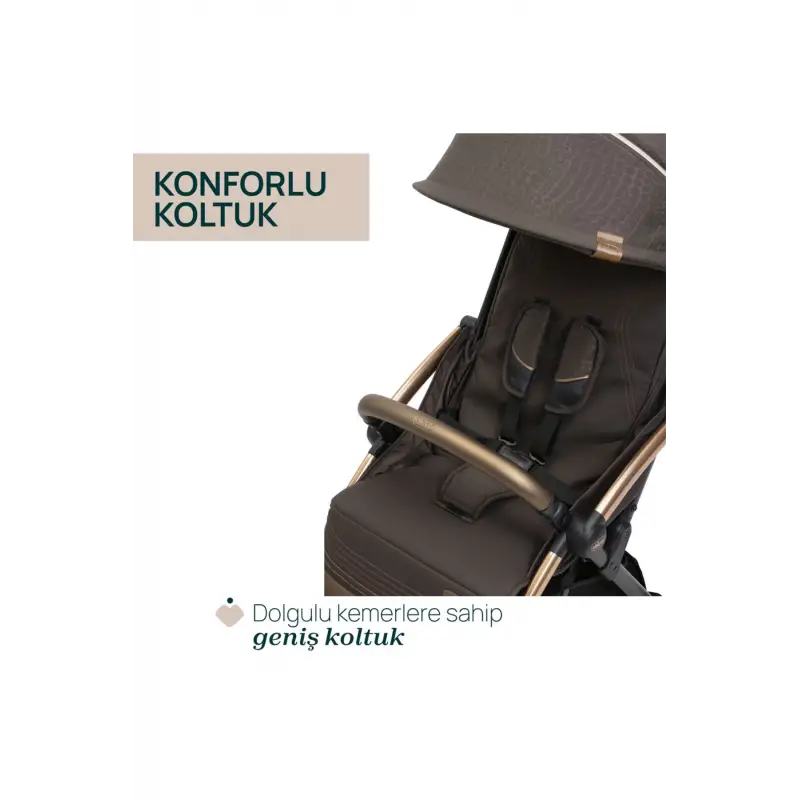 Chicco Goody Xplus Bebek Arabası Bronze Lızard Re_lux