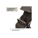 Chicco Goody Xplus Bebek Arabası Bronze Lızard Re_lux