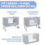 Chicco Next2Me Forever Anne Yanı Beşik Moon Grey