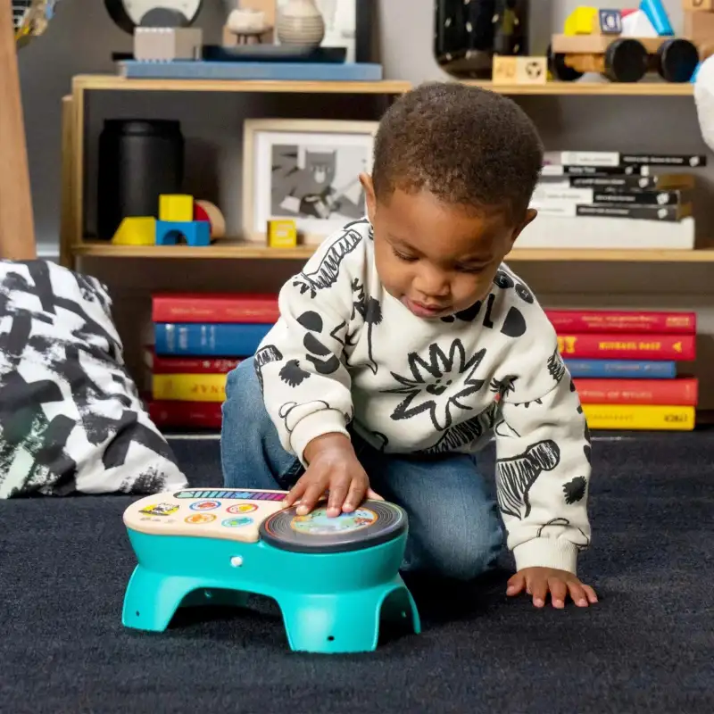 Baby Einstein Hape Dj Station