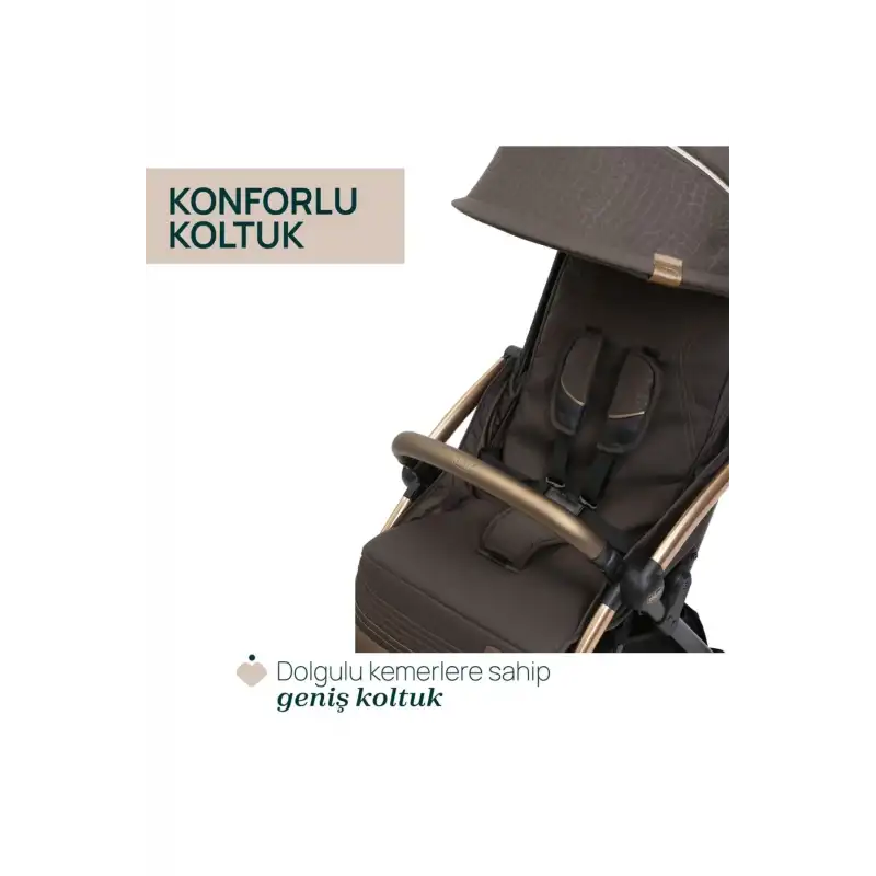 Chicco Goody XPlus Bebek Arabası Bronze Lizard