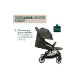 Chicco Goody XPlus Bebek Arabası Bronze Lizard